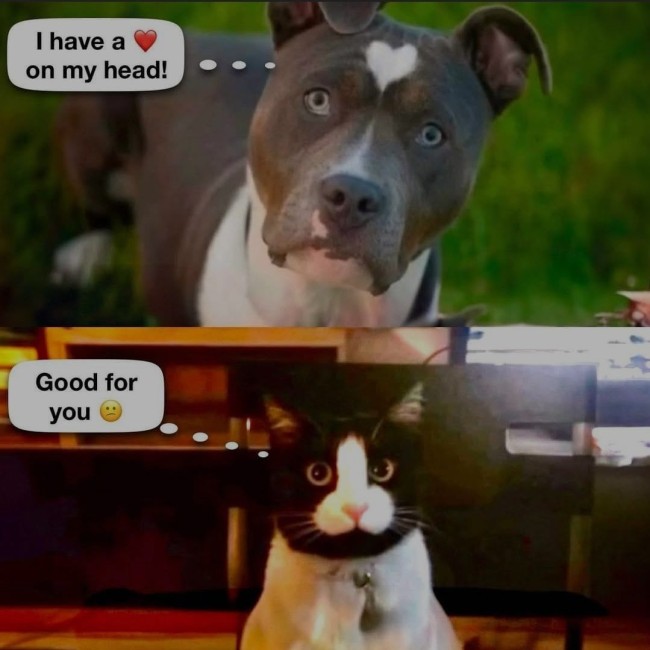 Screenshot_20250118_125031_Samsung Internet.jpg