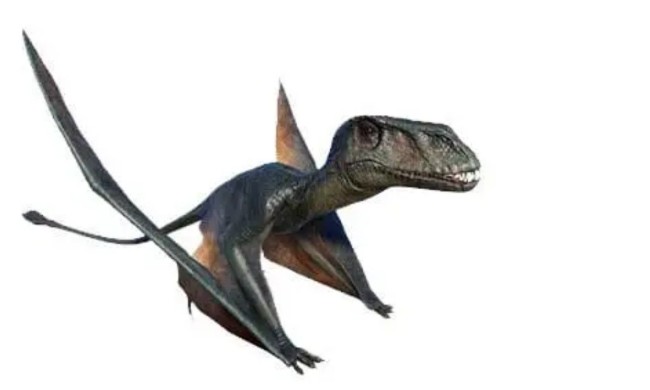 dimorfodon_pterodactyl.jpg