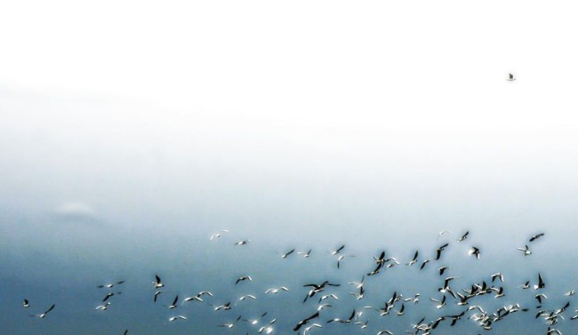 korkeammalla kuin muut.jpg