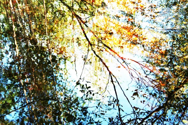 Vedestä peilautuu syyskuu.jpg