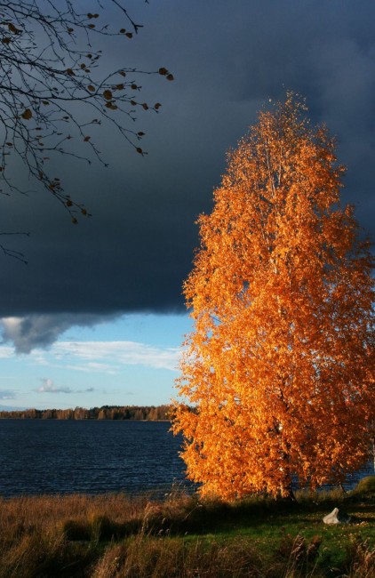 Vähän kontrastia päivään..jpg