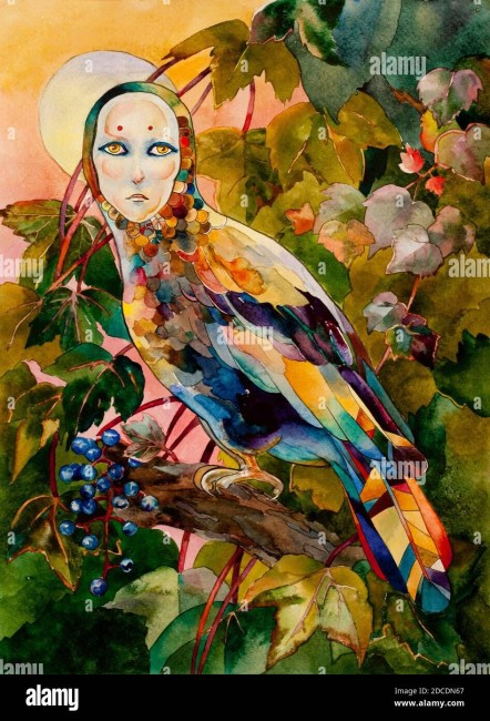 mythical-bird-with-female-face-on-sunset-forest-watercolor-illustration-2DCDN67.jpg