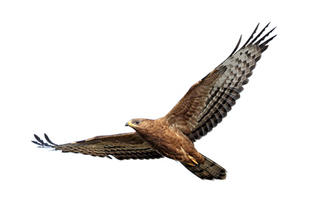 Screenshot from 2024-05-07 11-52-45.png