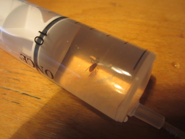 IMG_8255 – kopio – kopio.JPG