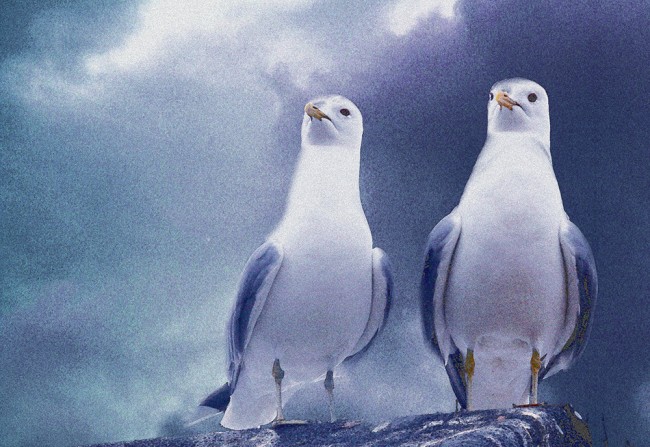 kaksilokkiamaailmankatolla kopio.jpg