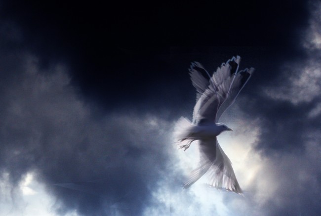 lokkimustassapilvessapieni kopio.jpg