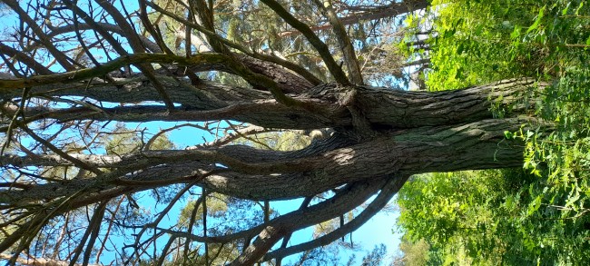 20210628_135141 – kopio.jpg