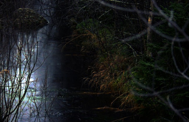 jäätynyt puro kuunvalossafullview.jpg