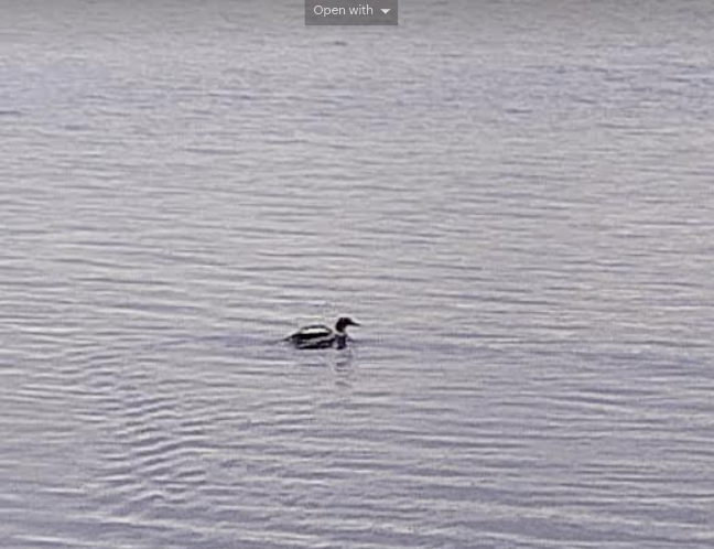 Screenshot 2024-09-15 7.19.36 PM.png