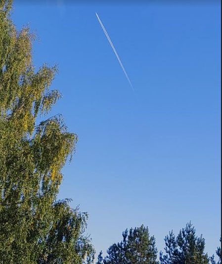 Screenshot 2024-09-20 11.50.19 AM.png